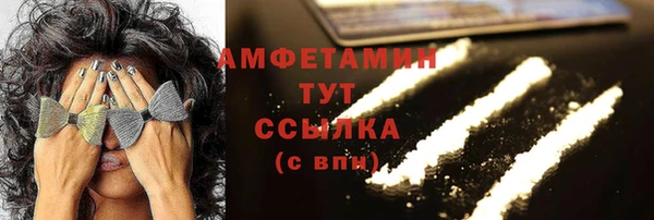 мет Алексин