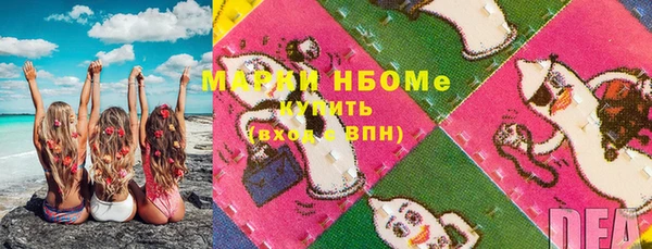 мет Алексин