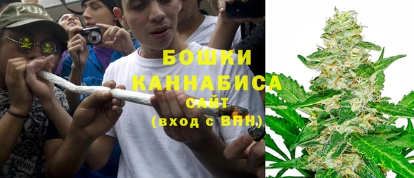 ГАЛЛЮЦИНОГЕННЫЕ ГРИБЫ Пересвет