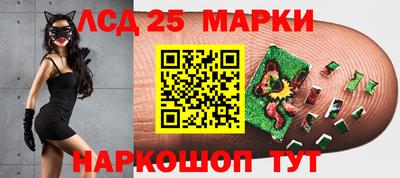 винт Донской