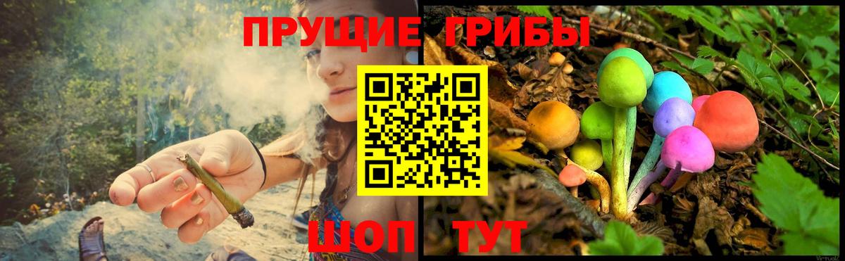 Галлюциногенные грибы Psilocybe  Вход с VPN  Тулун 